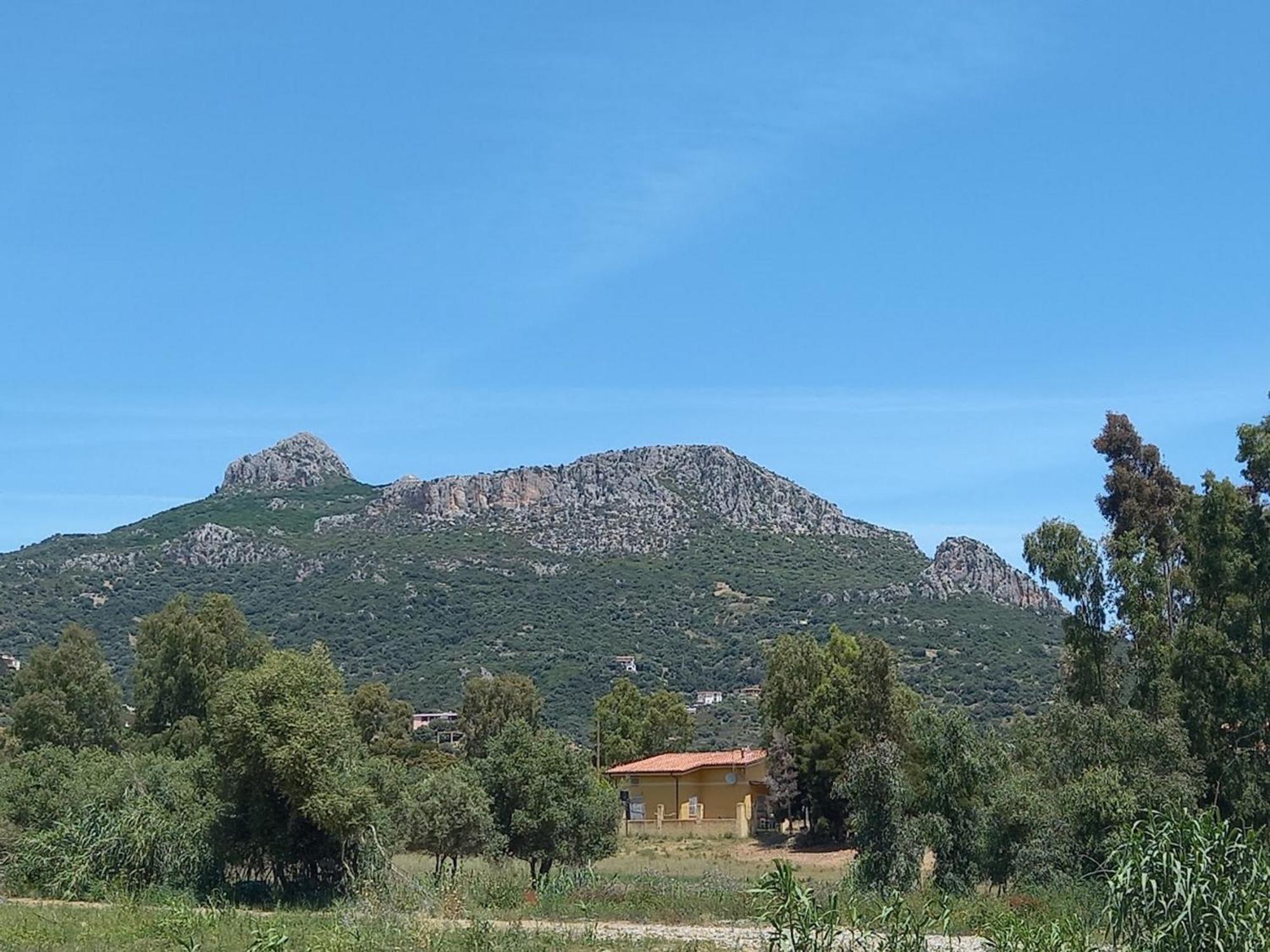 Basecamp Ogliastra - Flat Green Santa Maria Navarrese Eksteriør bilde